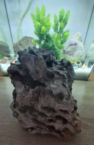 Dragon rock large stone - dragon,