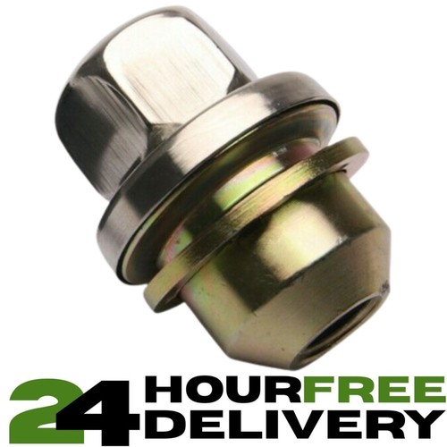 New stainless steel - steel, capped