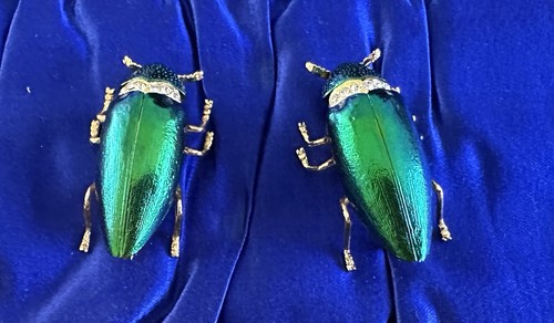 Pair vintage beetle wing - pair,