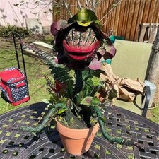 Scary Halloween Piranha Flower