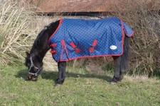 Rhinegold Dottie Foal Torrent