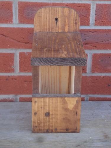 Robin nesting box with open - robin,