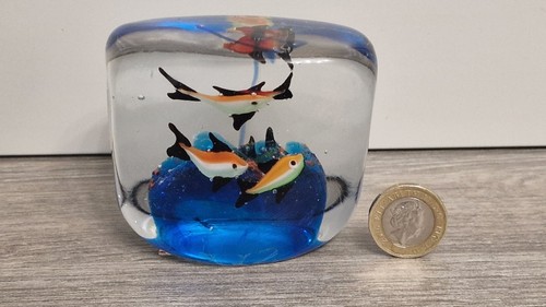 Art glass tropical fish - glass, of