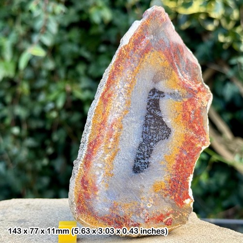 Polished natural agate slice - polished,