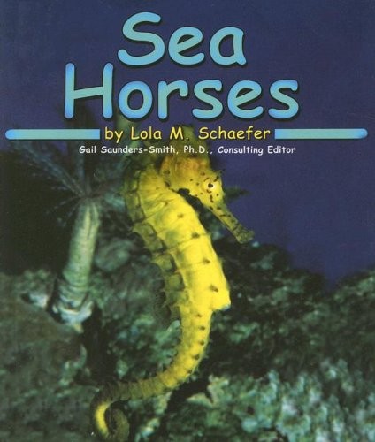 Sea horses - sea,
