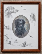 Flat Coated Retriever Print by