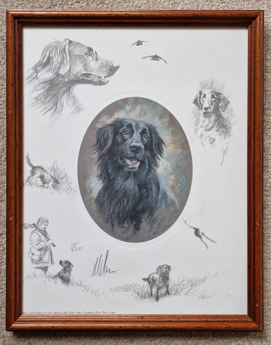 Flat coated retriever print - retriever,