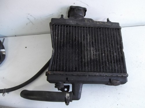 Honda ns125 radiator - , f