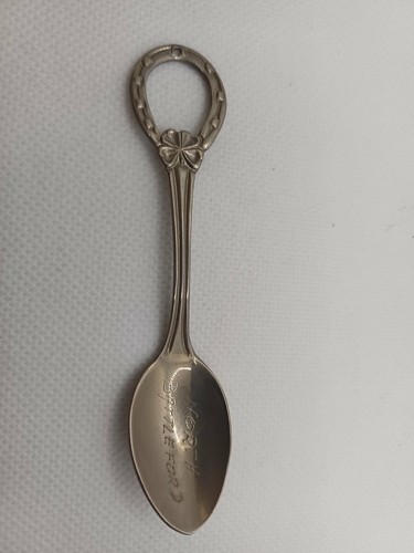 Souvenir teaspoon north - souvenir,