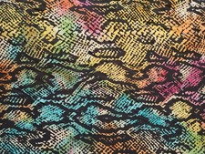 1.4M Rainbow Reptile Snake