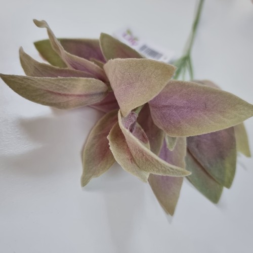 Autumn leaves wreath - autumn,