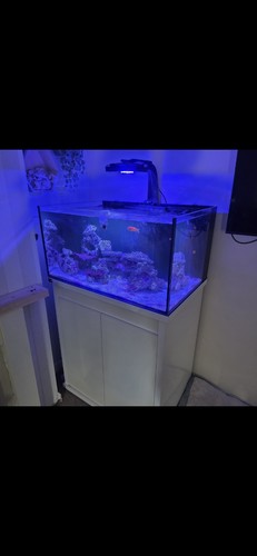 Pro reef 900 marine - pro,
