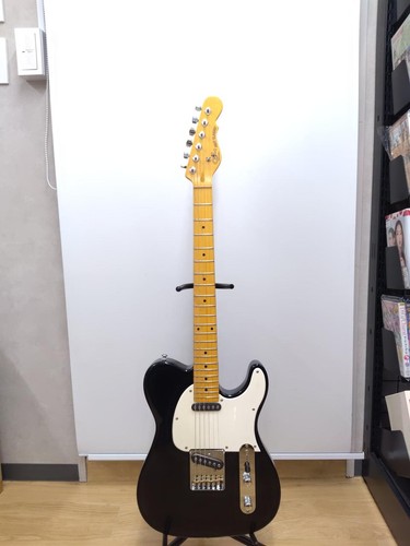 Asat classic electric - g&l,