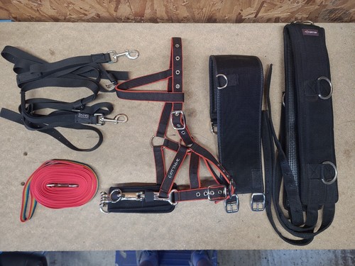 Lunging joblot cob size - lunging,