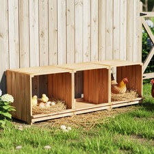 Durable Wooden Chicken Nesting