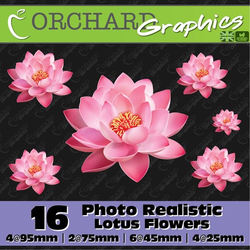 Lotus flower flowers car - 16,