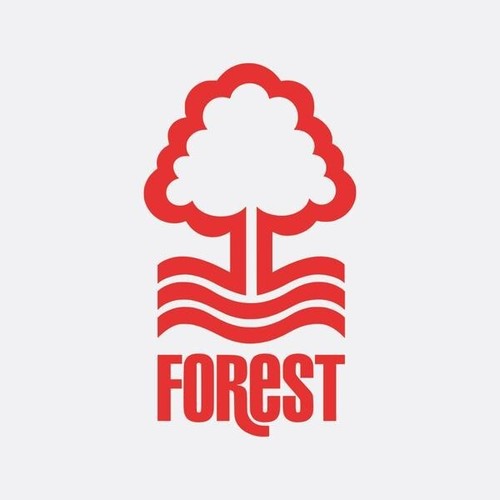 Nottingham forest chelsea - *nottingham, v