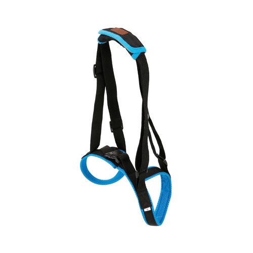 Dog auxiliary belt - ,