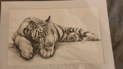 Pencil drawn tiger - drawn, art