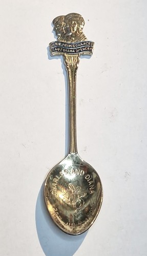Collectors tea spoon charles - collectors,