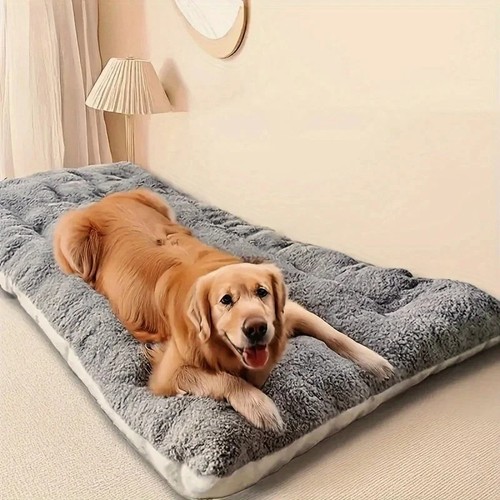 Large orthopedic memory - large,