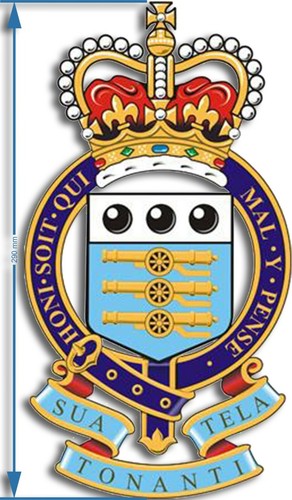 Size raoc badge - a4,
