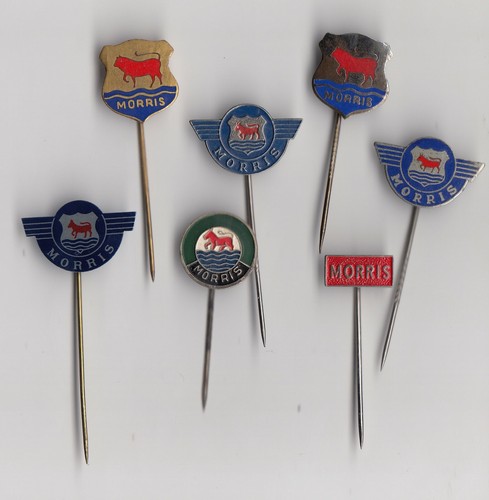 Vintage enamel morris pin - morris,