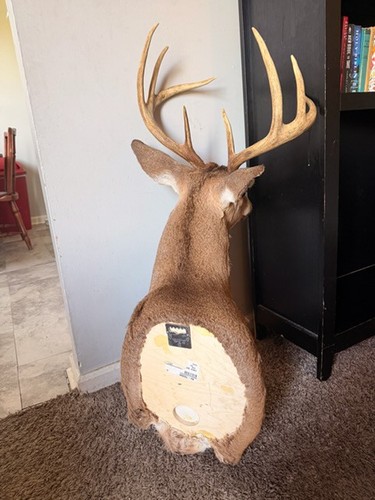 Large point whitetail deer - large,