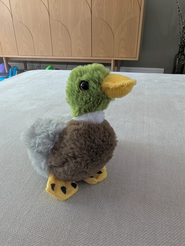 Living nature smol - nature, mallard