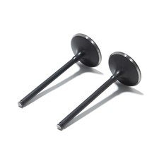 MX 2PCS Intake Valves For
