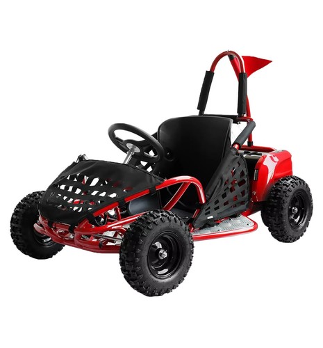 Kids electric 1000w - electric, 48v