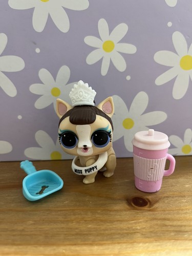 Lol surprise dolls - pets, miss