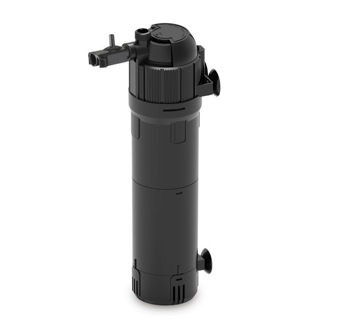 Aquarium fish tank internal - fish,