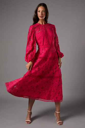 Coast raspberry midi dress - midi,