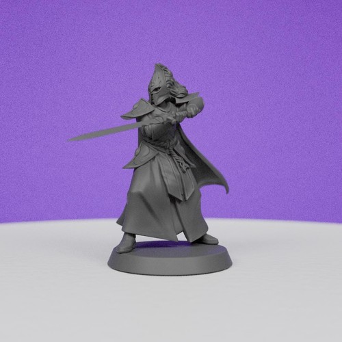Elf warrior elite galaad - elf,
