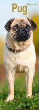 Pug Slim 2026 Calendar  Slimline Wall Calendar  Dog Breed Gift  Plastic Free Pac