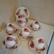 Queen Anne Vatican Red And Pink 18pc teaset