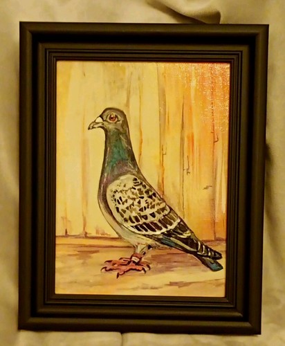 Pigeon bird handpainted - handpainted, on