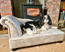 Dog bed chaise lounge - bed,