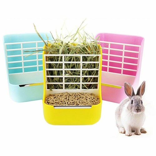 Rabbit guinea pig - 2, in