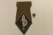 TWO MILITARY BADGES IDF ISRAEL