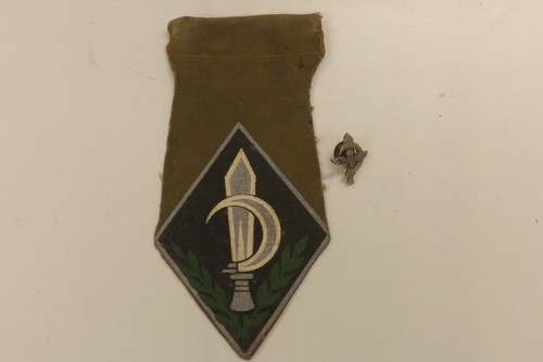 Two military badges idf - two,