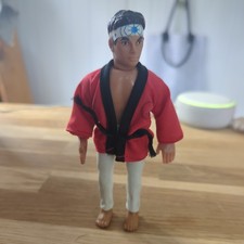Karate Kid Daniel LaRusso