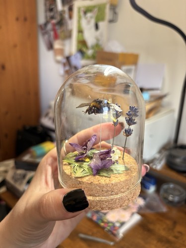 Bumblebee taxidermy glass - bumblebee,