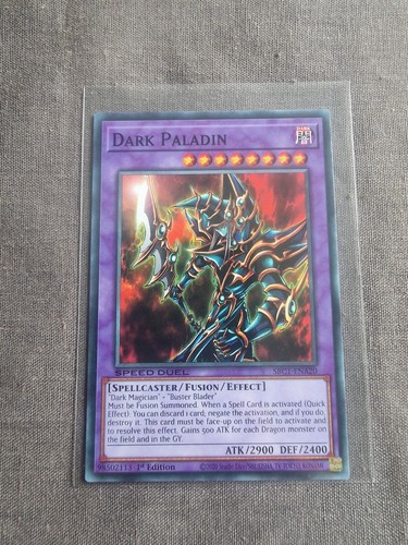 Dark paladin card - dark,