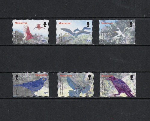 T1327 montserrat 2003 birds - t1327,