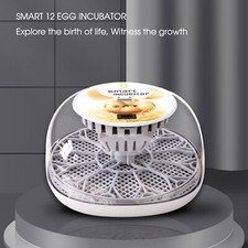 Incubator 12 eggs digital bird