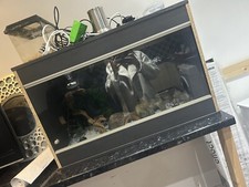 Reptile vivarium set - vivarium,