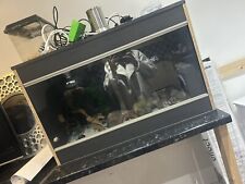 reptile vivarium set up