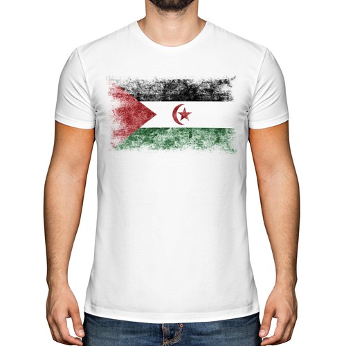Western sahara distressed flag - sahara,